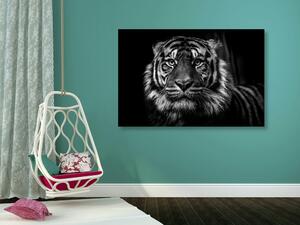 Slika tigar u crno-bijelom dizajnu
