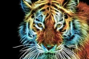 Slika glava tigra u apstraktnom dizajnu