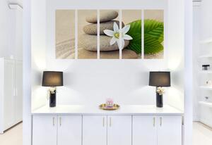 5-dijelna slika bijeli cvijet i kamenje u pijesku
