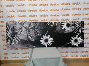 Slika cvijeće na crno-bijeloj pozadini