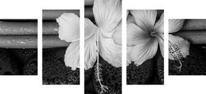 5-dijelna slika mrtva priroda - wellness u crno-bijelom dizajnu