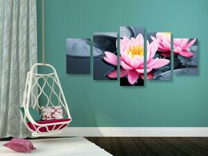 5-dijelna slika lotosov cvijet u jezeru