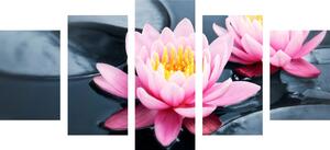 5-dijelna slika lotosov cvijet u jezeru