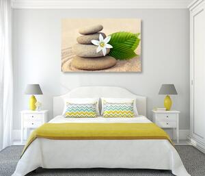 Slika bijeli cvijet i kamenje u pijesku