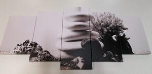 5-dijelna slika Zen kamenje sa školjkama u crno-bijelom dizajnu