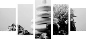 5-dijelna slika Zen kamenje sa školjkama u crno-bijelom dizajnu