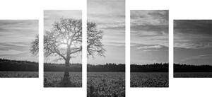 5-dijelna slika usamljeno stablo u crno-bijelom dizajnu