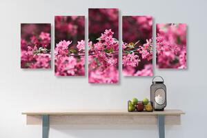 5-dijelna slika detaljni cvjetovi trešnje