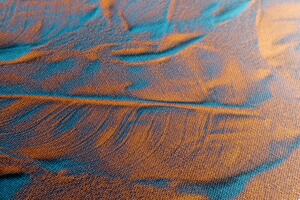 Slika tekstura listova na pješčanoj plaži