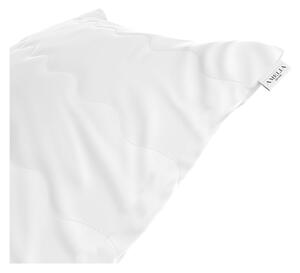 Bijelo punjenje jastuka AmeliaHome Reve, 40 x 15 cm