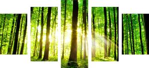 5-dijelna slika svježa zelena šuma