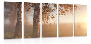 5-dijelna slika jesenja šuma u magli