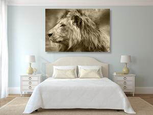 Slika afrički lav u sepijastom tonu