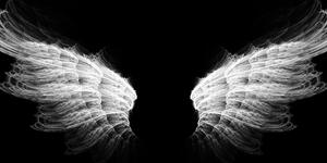 Slika crno-bijela anđeoska krila
