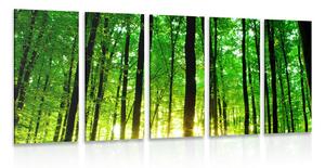5-dijelna slika svježa zelena šuma