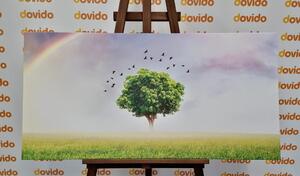 Slika usamljeno stablo na livadi