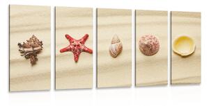 5-dijelna slika školjke na pješčanoj plaži