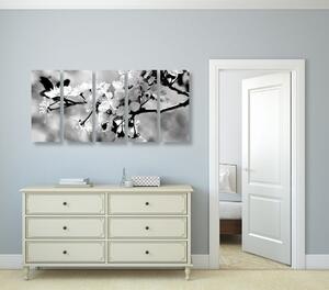 5-dijelna slika cvijet trešnje u crno-bijelom dizajnu