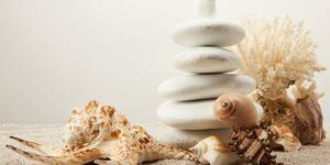 Slika Zen kamenje sa školjkama