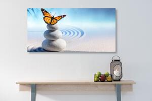 Slika ravnoteža kamenja i leptir