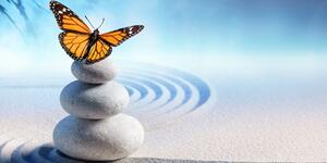 Slika ravnoteža kamenja i leptir