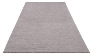 Svijetli sivi tepih Mint Rugs SuperSoft, 120 x 170 cm