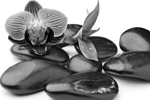 Slika masažno wellness kamenje u crno-bijelom dizajnu