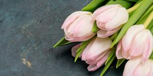 Slika pastelne ružičaste tulipane