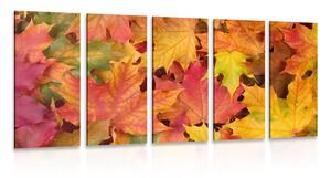 5-dijelna slika listovi jeseni
