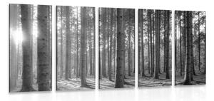 5-dijelna slika jutro u šumi u crno-bijelom dizajnu