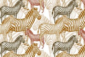 Slika carstvo zebra
