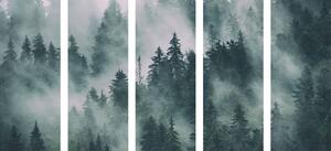 5-dijelna slika planine u magli