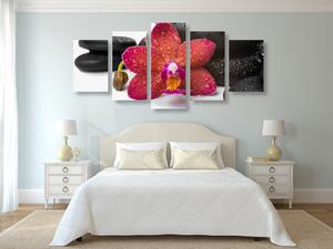 5-dijelna slika orhideja i Zen kamenje na bijeloj pozadini