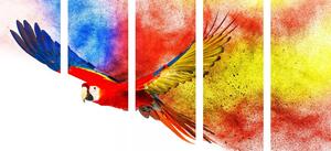 5-dijelna slika let papige