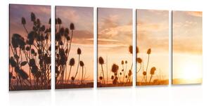 5-dijelna slika vlati trave pri izlasku sunca
