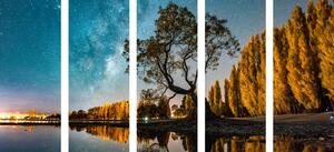 5-dijelna slika stablo ispod zvjezdanog neba