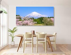 Slika planina Fuji