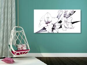 Slika ilustracija gladiole u cvatu