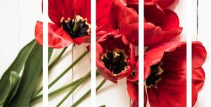 5-dijelna slika rascvjetani crveni tulipani