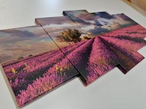 5-dijelna slika krajolik s poljima lavande