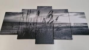 5-dijelna slika zalazak sunca na plaži u crno-bijelom dizajnu