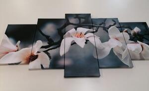 5-dijelna slika magnolija koja se budi