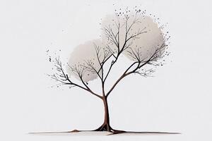 Slika minimalističko stablo bez lišća