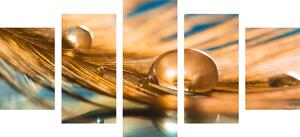 5-dijelna slika kap vode na zlatnom percu