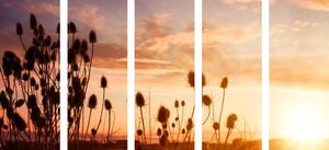 5-dijelna slika vlati trave pri izlasku sunca