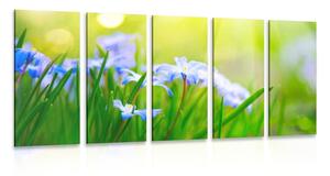 5-dijelna slika cvijeće na livadi u proljeće
