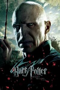 Umjetnički plakat Voldemort, (26.7 x 40 cm)