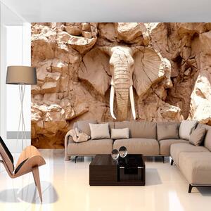Grandformat Wallpaper Artgeist Stone Slon, 400 x 280 cm