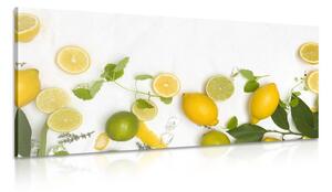 Slika miks citrusa