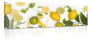 Slika mješavina citrusa